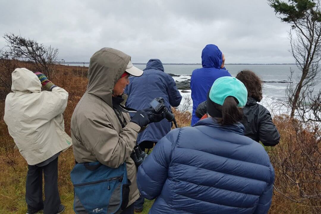 New England Nature Outings at a Luxury Beach Hotel